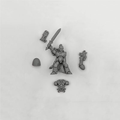 Space Wolves Grey Hunters Sergeant 1993