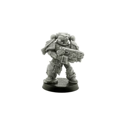 Space Marine Sternguard Veteran with Combi Weapon 2010